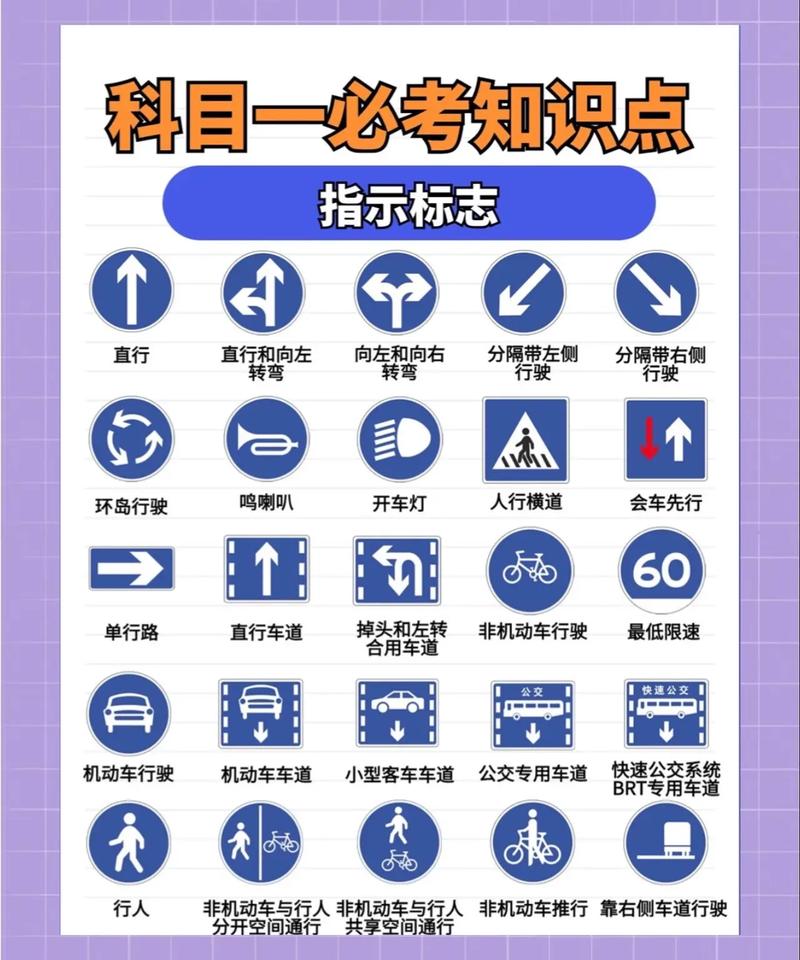 考驾照:新时代的开车‘入门券’